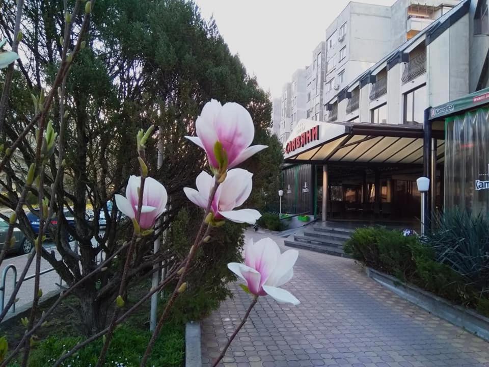 Hotel Slaviani Dimitrovgrad  Esterno foto